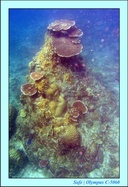 2008 - 07 - Redang - 079